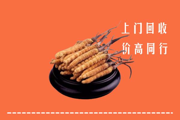 高价求购：楚雄州回收散虫草
