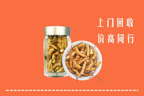 楚雄州回收冬虫夏草