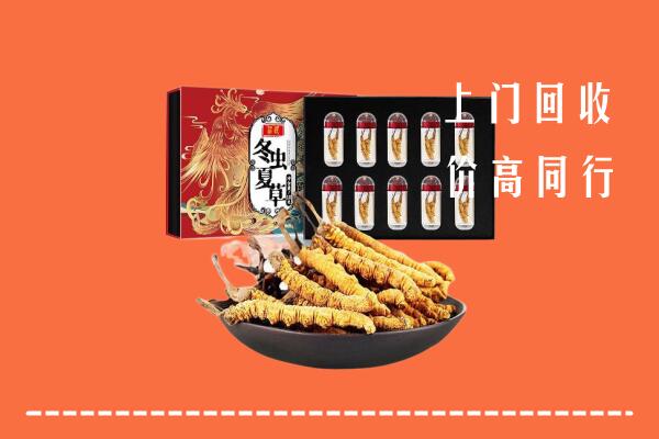楚雄州回收虫草